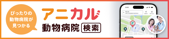 ピッタリの動物病院がみつかる！「アニカル動物病院検索」